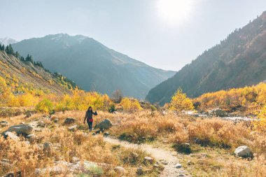 Asian woman hike through mountain and beautiful nature of forest.