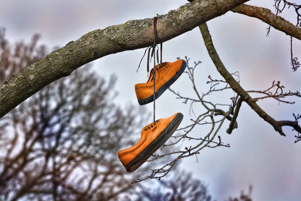 Yellow shoes hang on the tree as a symbol of freedom and wandering