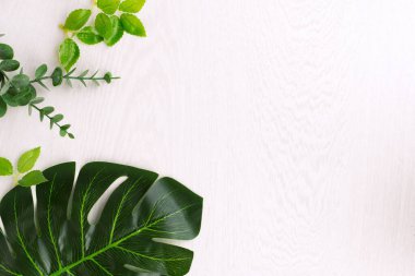 Tasarım elementleri için yeşil yapraklı doğa arkaplan çerçevesi, yaz arkaplanı. Sopy alanı