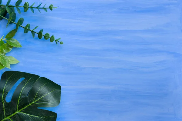 Natura cornice di sfondo blu con foglie verdi per elementi di design, sfondo estivo. Spazio sofisticato — Foto Stock