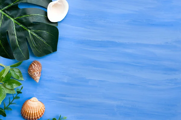 Marco de fondo azul natural con hojas verdes y conchas para elementos de diseño, fondo de verano. Espacio Sopy Imágenes de stock libres de derechos