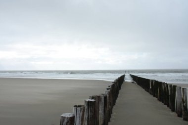 Westerschelde nehrinin sahilindeki dalgakıran.
