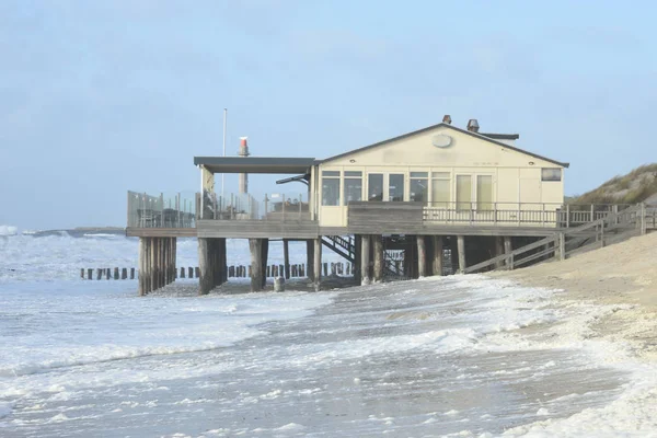 Westkapelle yakınlarındaki Hollanda sahilindeki sahil restoranı.