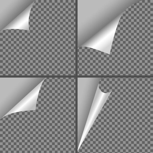 ?url page for web on transparent backgrou