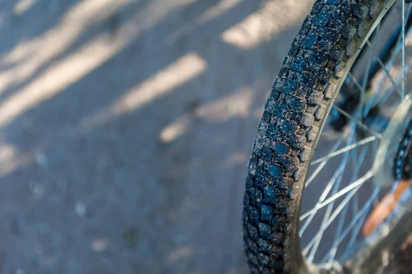 Güneşli bir günde bir toprak yol üzerinde bisiklet