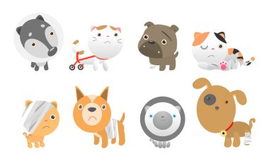 Bir grup şirin kedi ve köpek hastalanır, yaralanır, yaralanır, yaralanır, vektör çizimi beyaz arka planda izole edilir.
