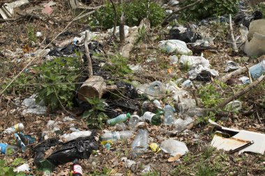 Kirli doğa. Ormanın içinde çöp