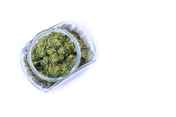 大麻草新鲜绿芽或花朵，装在透明的玻璃瓶中，白色背景隔离. — 图库照片