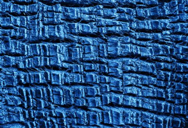 Palmiye ağacı kabuğu dokusu. Doğal ahşap gövde dokusu mavi renkte...