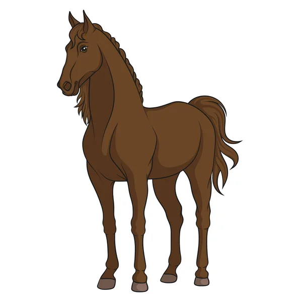 Ilustración vectorial a color de un caballo. Objeto aislado sobre un blanco — Vector de stock