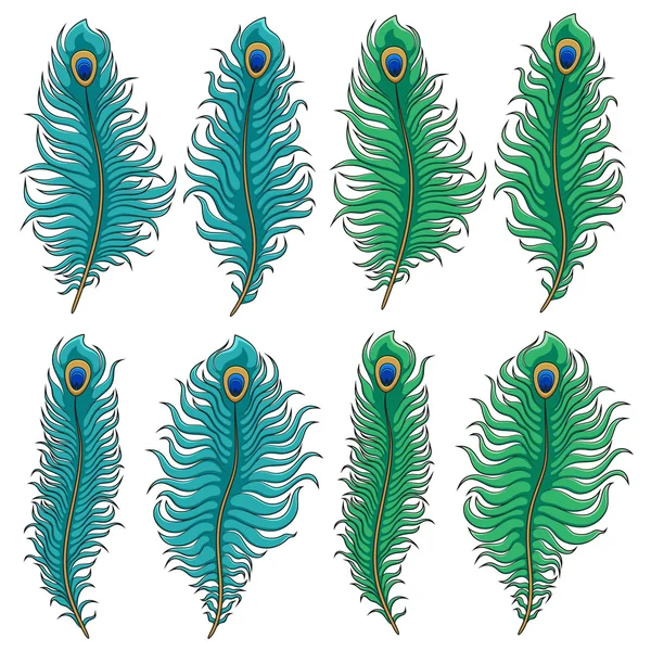 Ensemble de plumes de paon colorées. Objets isolés vectoriels sur blanc — Image vectorielle