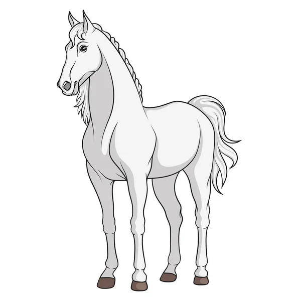 Imagen vectorial a color de un caballo blanco — Vector de stock