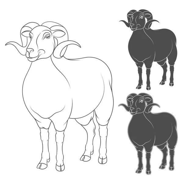 Vector set of illustrations depicting sheep — Stock Vector