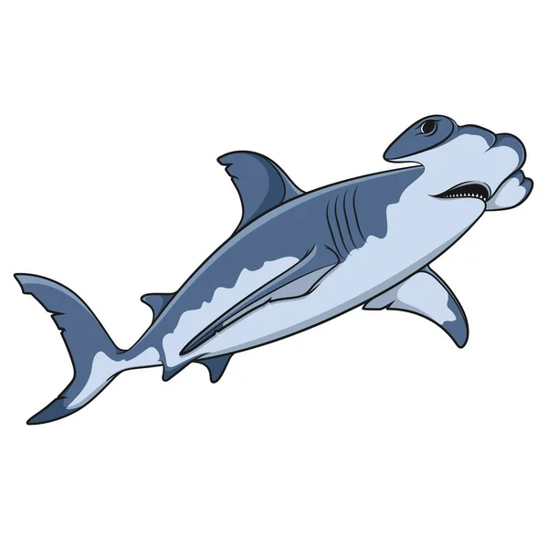 Wektor ilustracja kolor rekina hammerhead. Na białym tle obiekt — Wektor stockowy
