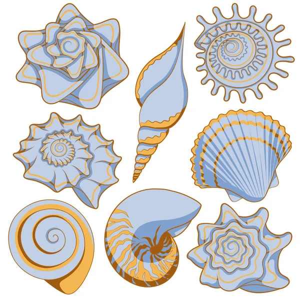 Conjunto de conchas de mar de colores — Vector de stock