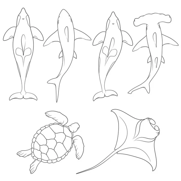 해양 동물 이미지의 집합 — 스톡 벡터