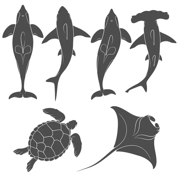 Conjunto de imágenes con animales marinos — Vector de stock