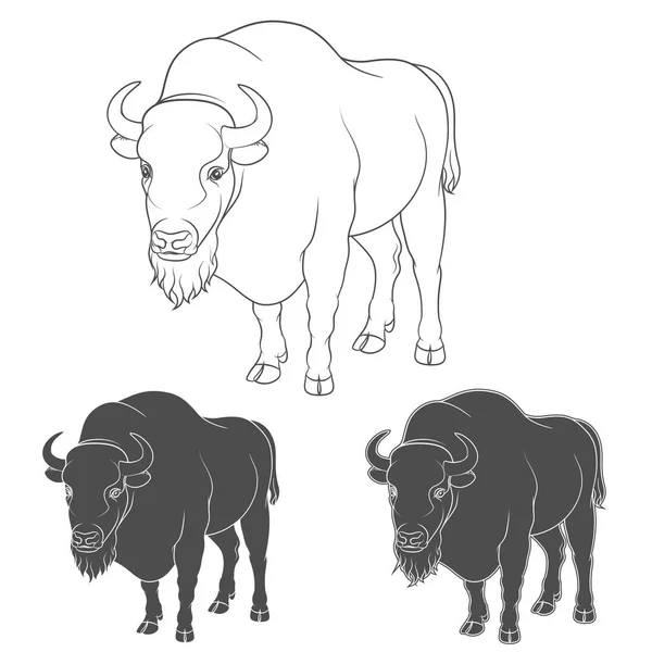 Conjunto de imagens vetoriais em preto e branco com um bisão —  Vetores de Stock