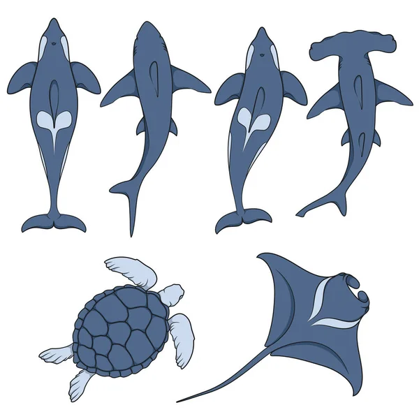 Deniz hayvanları görüntülerle kümesi