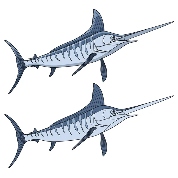 Színes illusztráció a marlin hal. Elszigetelt vektoros objektumok. — Stock Vector