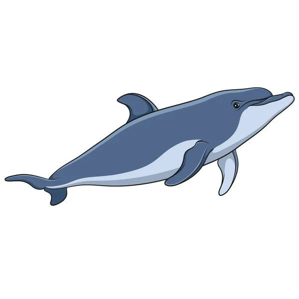 Color vector image of a dolphin. Isolated object. — Stock Vector