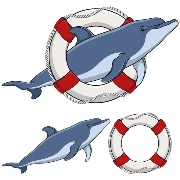 彩色插图与海豚和救生圈套。隔离的对象. — 图库矢量图片