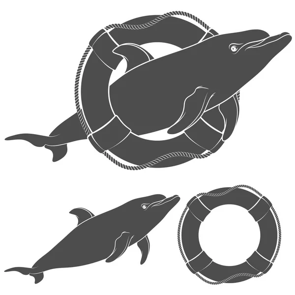 Набор черно-белых иллюстраций с дельфином и спасательным буем. Изолированные объекты . — стоковый вектор