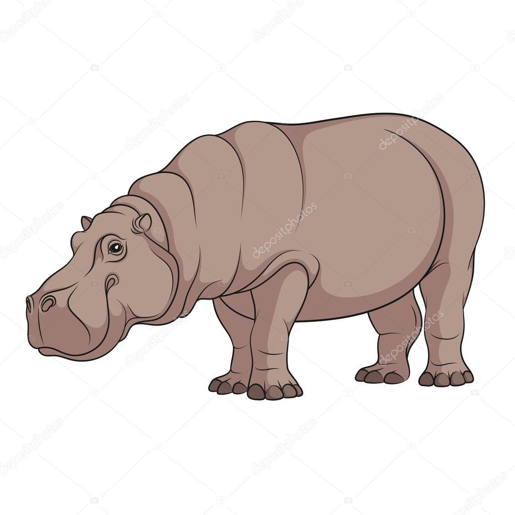 Color illustration of a hippopotamus. Isolated vector object.