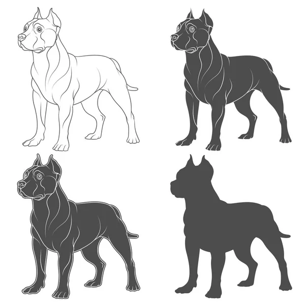 Set of black and white illustrations with a pit bull dog. Isolated vector objects. — Stock Vector