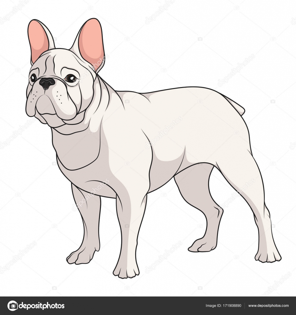 最高のフレンチブルドッグ イラスト 最高の動物画像 最高のフレンチブルドッグ イラスト 最高の動物画像