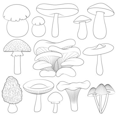 Mantar ile siyah beyaz görüntüler küme. İzole vektör nesneleri.