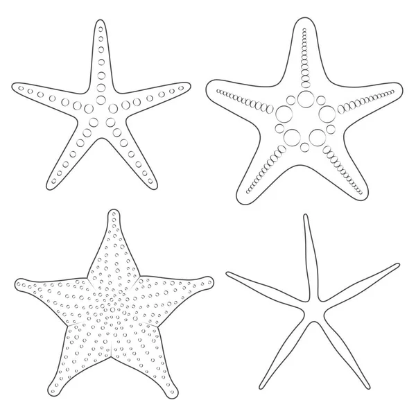 Набор графических черно-белых изображений морских звёзд. Изолированные векторные объекты . — стоковый вектор