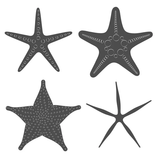 Conjunto de imágenes gráficas en blanco y negro de estrellas de mar. Objetos vectoriales aislados . — Vector de stock