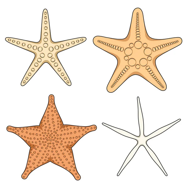 Набор Графических Цветных Изображений Морской Звезды Изолированные Векторные Объекты Белом — стоковый вектор