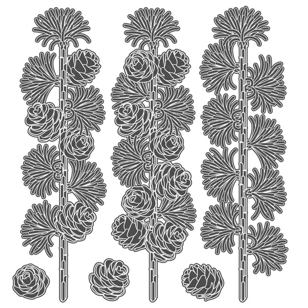 カラマツの枝および円錐形の黒と白の画像のセットです 白い背景の分離ベクトル オブジェクト — ストックベクタ