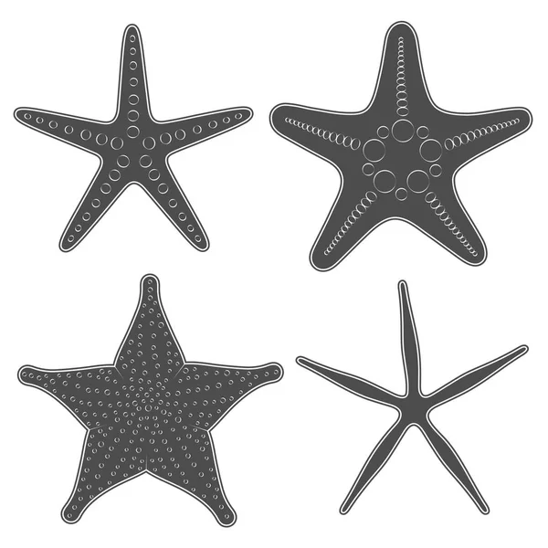 Sada Černé Bílé Obrázky Moře Hvězd Izolované Vektorové Objekty Bílém — Stockový vektor