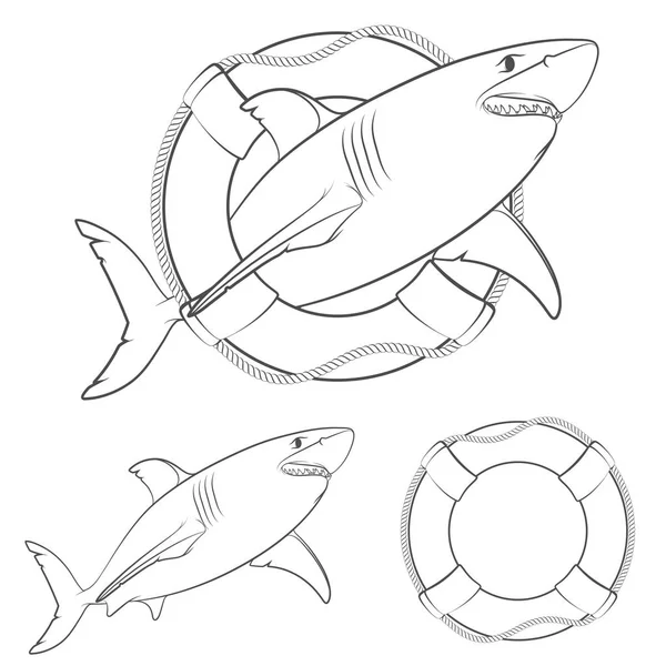 Набор Черно Белых Иллюстраций Акулы Спасательном Канале Изолированные Векторные Объекты — стоковый вектор