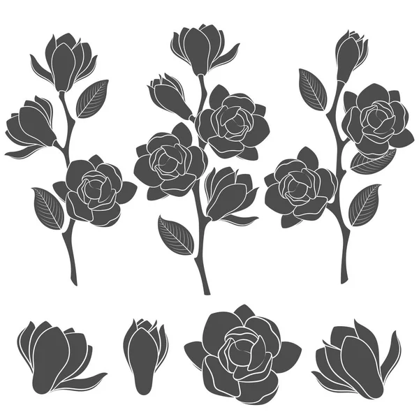 Schwarz Weiße Illustrationen Mit Blühenden Magnolienzweigen Isolierte Vektorobjekte Auf Weißem — Stockvektor