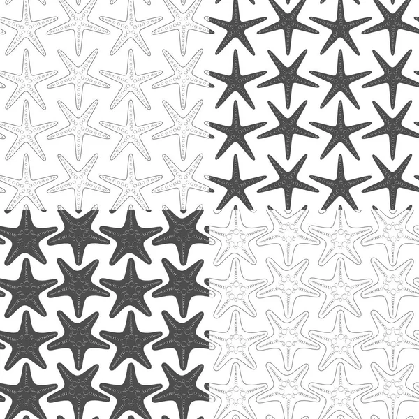 Set Black White Seamless Patterns Starfish Vector Backgrounds White — Stock Vector