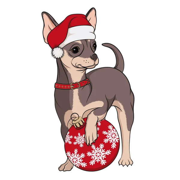 Küçük bir köpeğin renkli görüntüsü, kırmızı Noel şapkalı kahverengi bir chihuahua ve Noel ağacı oyuncağı. Beyaz arkaplandaki izole vektör nesnesi.