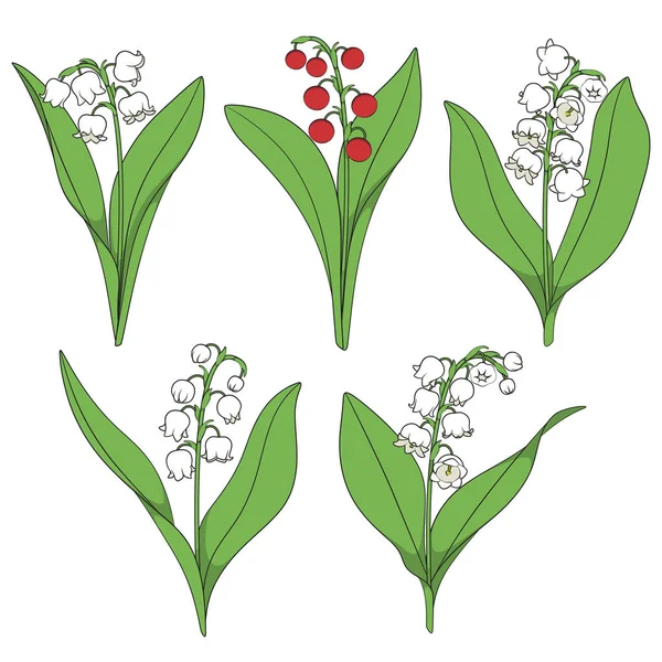 Set Color Illustrations Lilies Valley Isolated Vector Objects White Background — 스톡 벡터