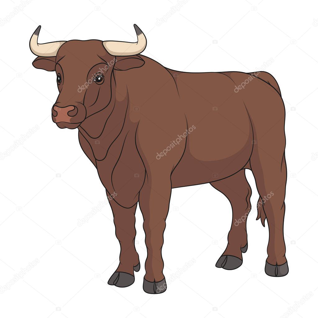 Color illustration with a bull, a cow. Isolated vector object on a white background.