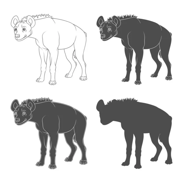 Set Black White Illustrations Hyena Isolated Objects White Background — 스톡 벡터