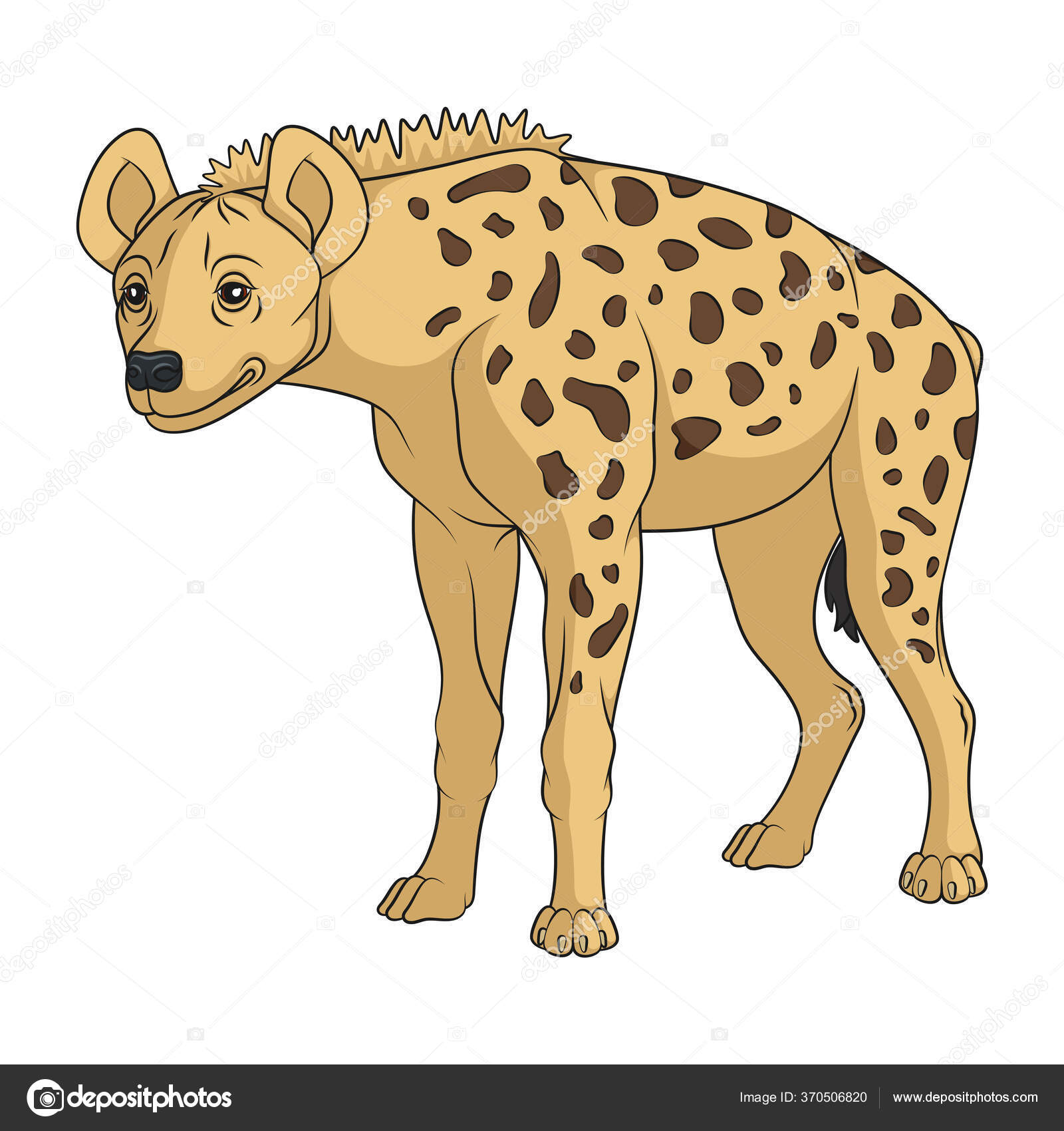 Crocutaストックベクター ロイヤリティフリーcrocutaイラスト Depositphotos