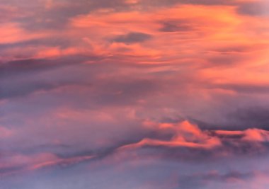 Cennet ihtişamı ve çeşitliliği ile cezbeder.. 