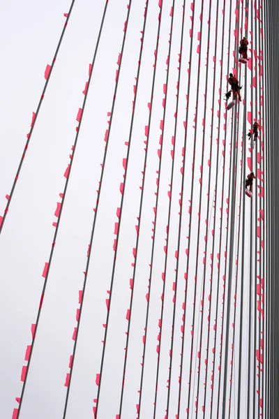 Des grimpeurs suspendus drapeaux orange sur le pont Erasmus — Photo