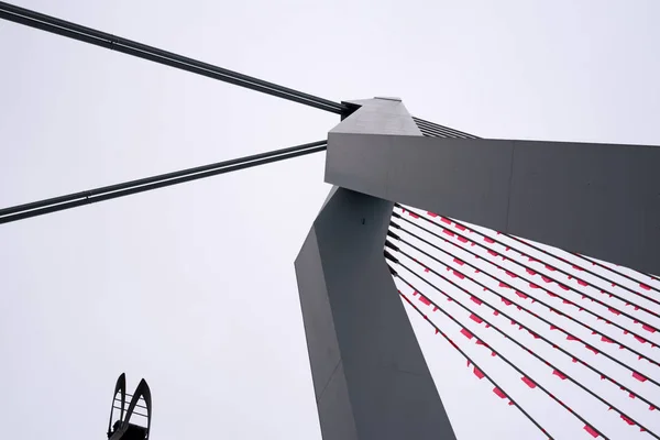 Des grimpeurs suspendus drapeaux orange sur le pont Erasmus — Photo