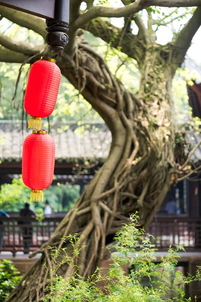 Chinese lantaarns met een oude boom en een tempel op de achtergrond — Stockfoto