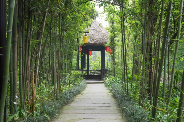 Kínai pavilon a bambusz erdőben — Stock Fotó