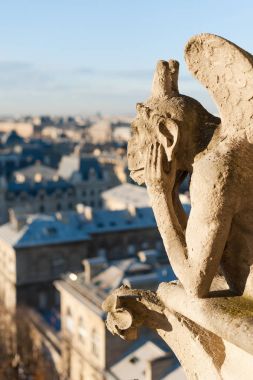Paris - dikey çatısı izlerken çirkin yaratık